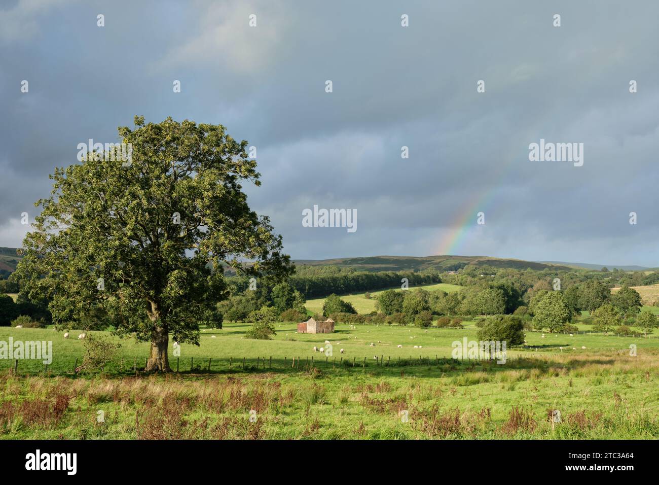 Kirkby Stephen Westmorland & Furness, Cumbria, Inghilterra Regno Unito sulla Coast to Coast Walk Foto Stock