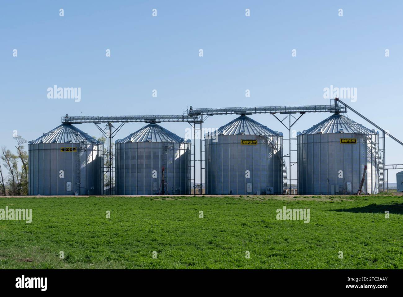 Contenitori per cereali MFS in un'azienda agricola del Nebraska, USA Foto Stock