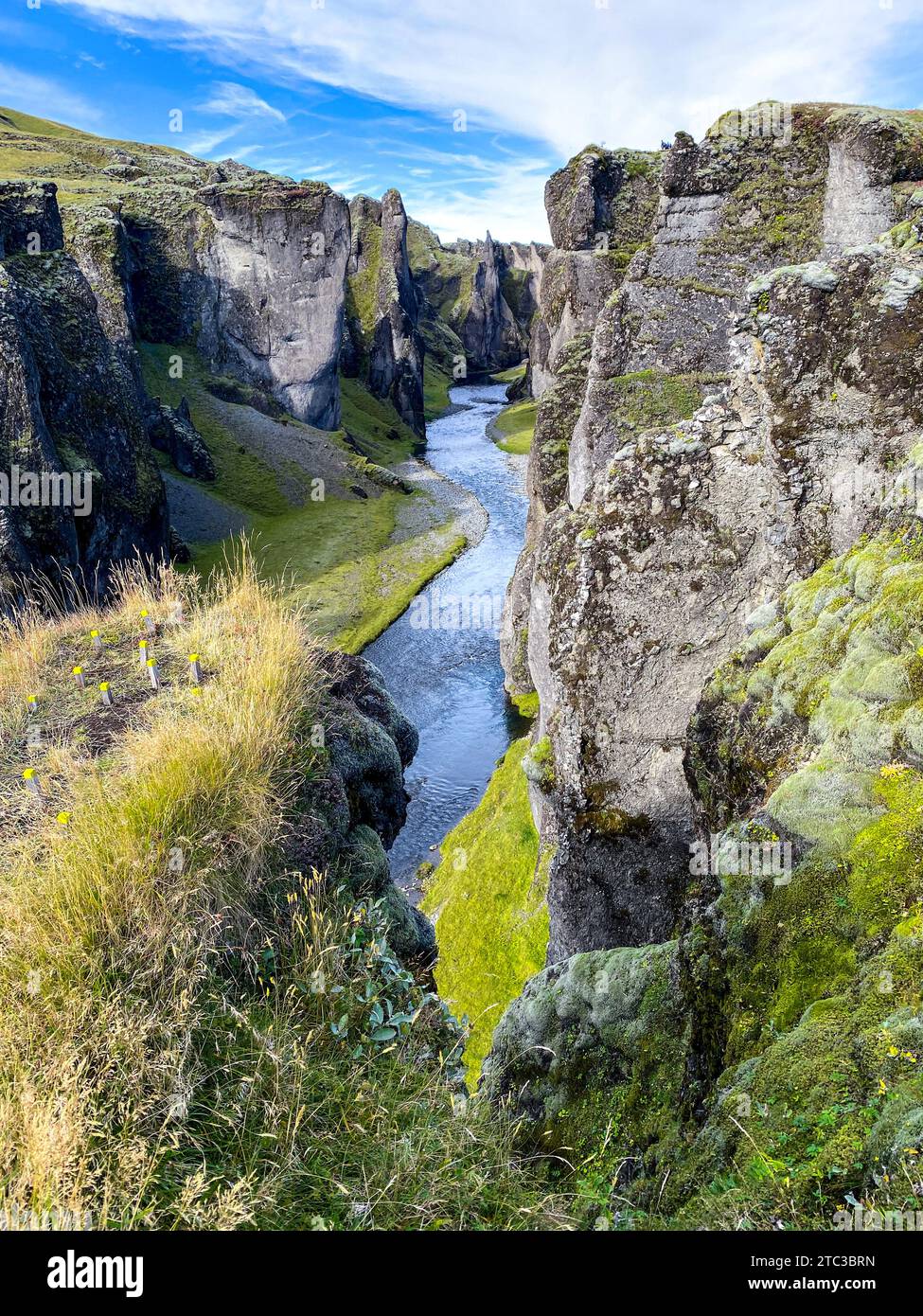 Splendido canyon di Fjaðrárgljúfur in Islanda Foto Stock