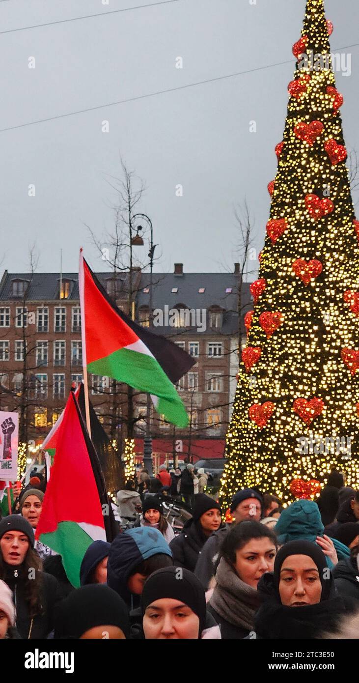 Copenhagen, Danimarca. 10 dicembre 2023. Copenhagen, Danimarca. 10 dicembre 2023. Manifestazione pro-palestinese a Copenaghen, Danimarca domenica 10 dicembre 2023 crediti: Pahas/Alamy Live News Credit: Pahas/Alamy Live News Foto Stock