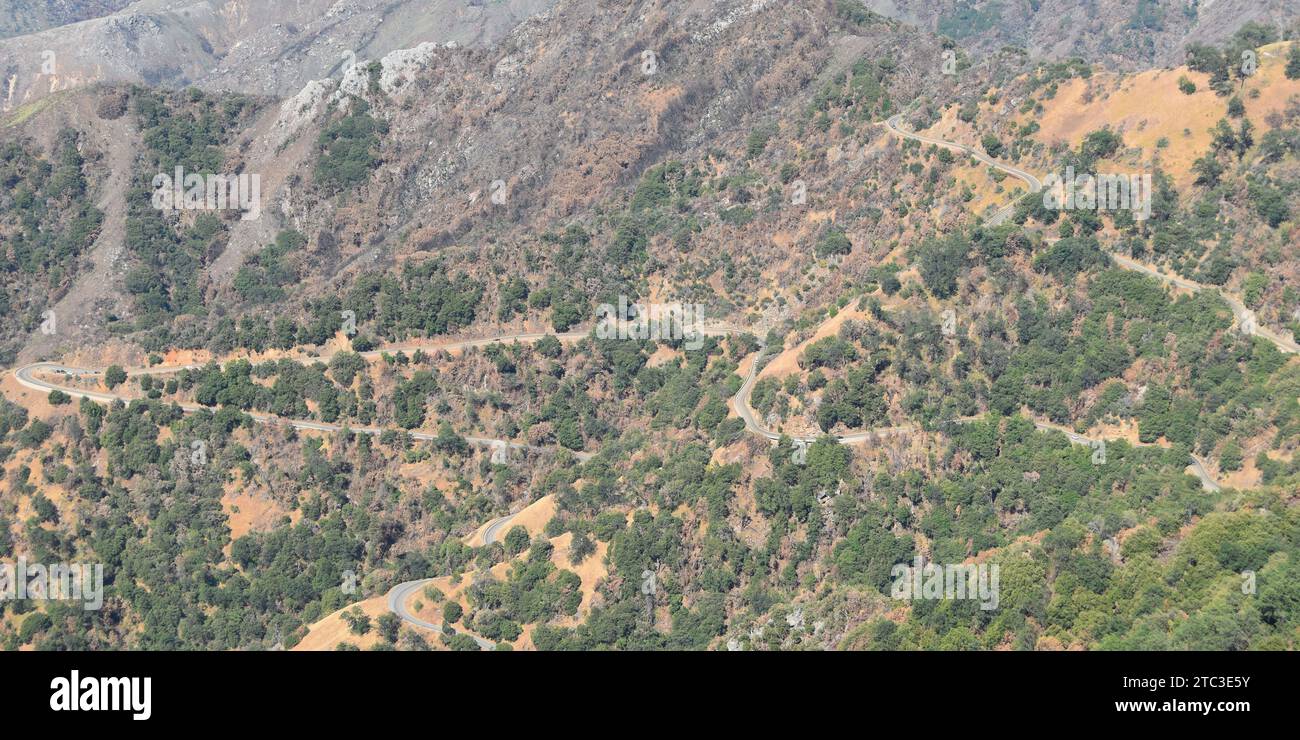 La strada tortuosa con tornanti della Generals Highway sale nel Sequoia National Park, California, USA (autostrada 198, vista da Moro Rock). Foto Stock