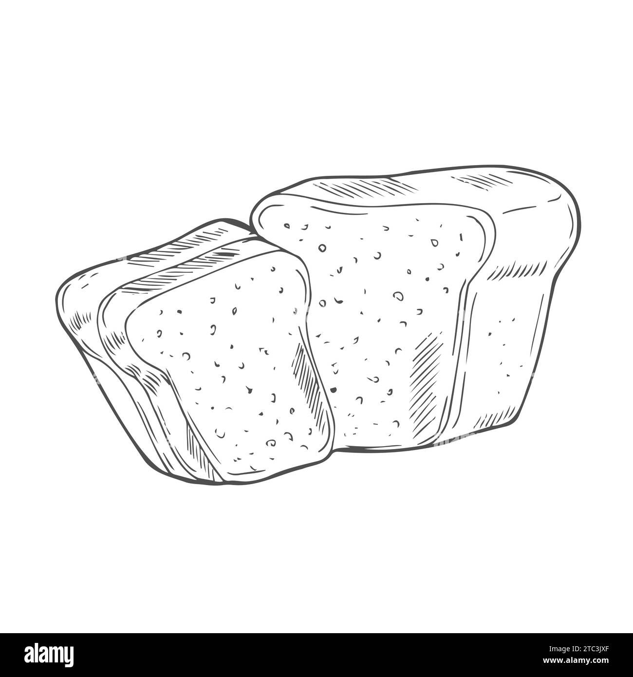 Illustrazione del set disegnato a mano del vettore del pane. Altri tipi di frumento, farina pane fresco. Collezione incisa di prodotti da forno glutine Illustrazione Vettoriale