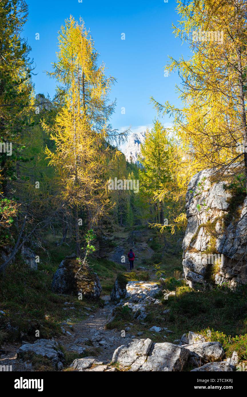 Escursionista in uno splendido paesaggio selvaggio Foto Stock
