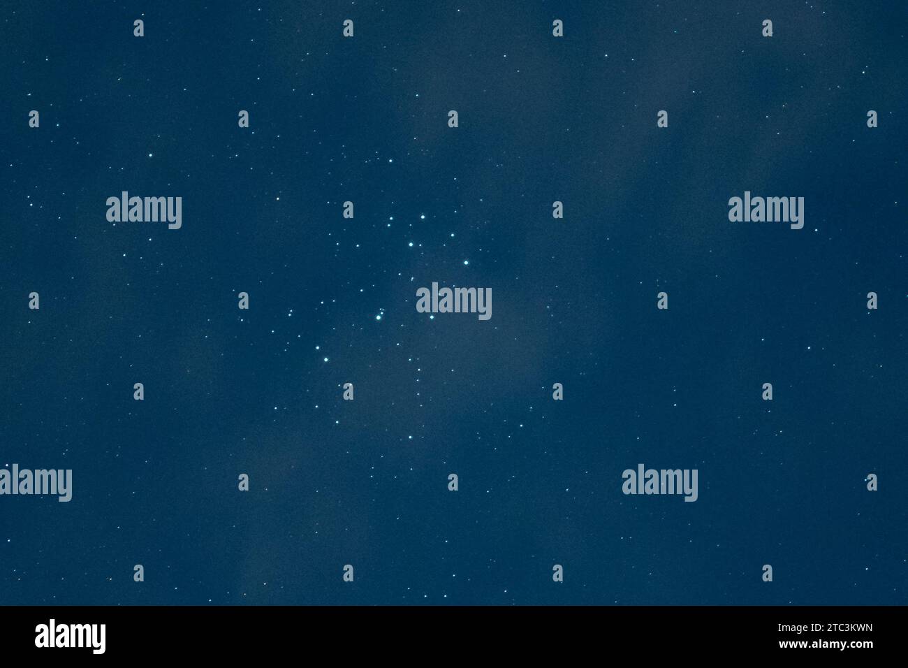 Cattura dettagliata del gruppo di stelle aperte Pleiadi, noto anche come "le sette sorelle". Foto Stock