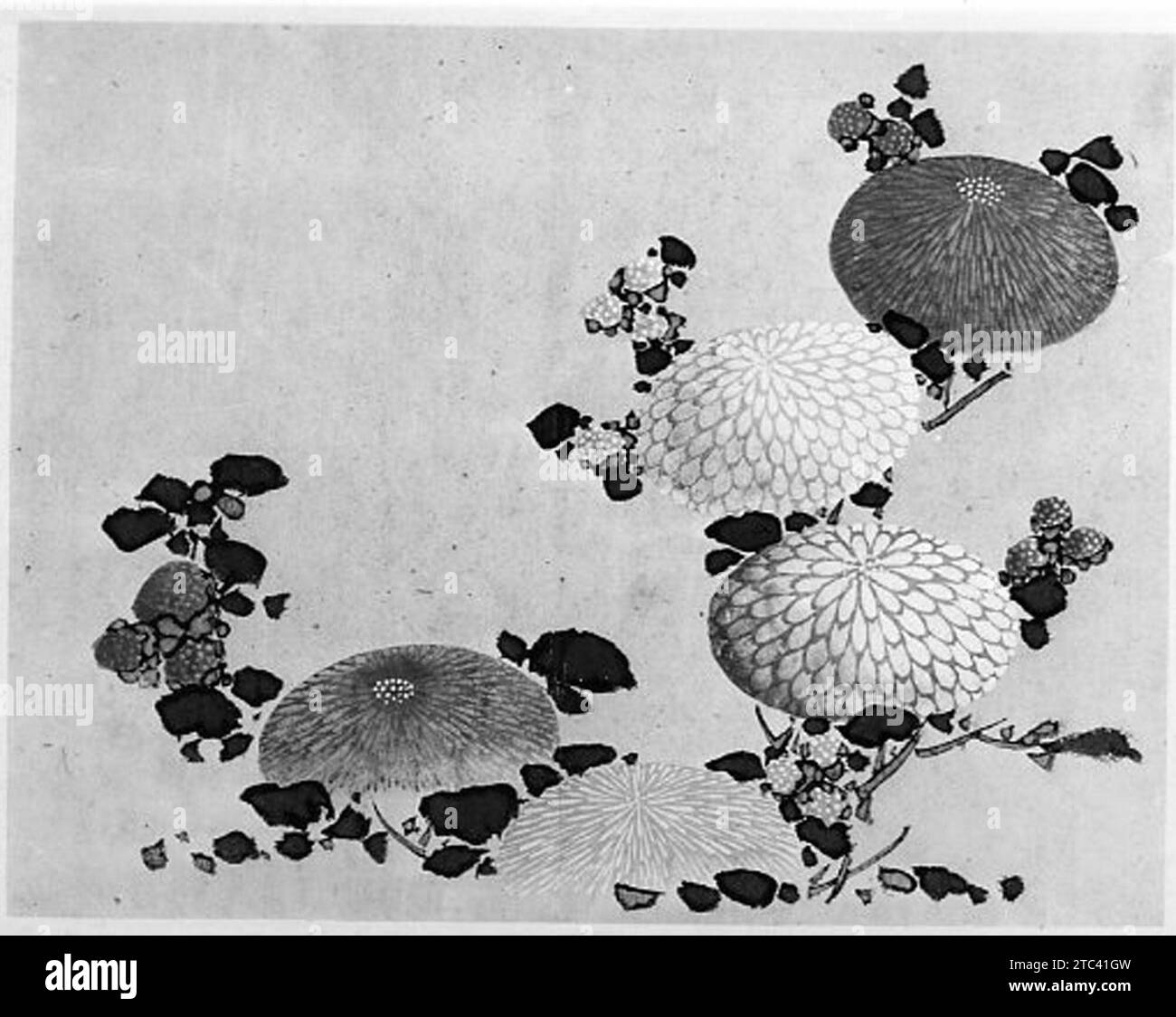 Crisantemi 1938 della Hokusai School Foto Stock