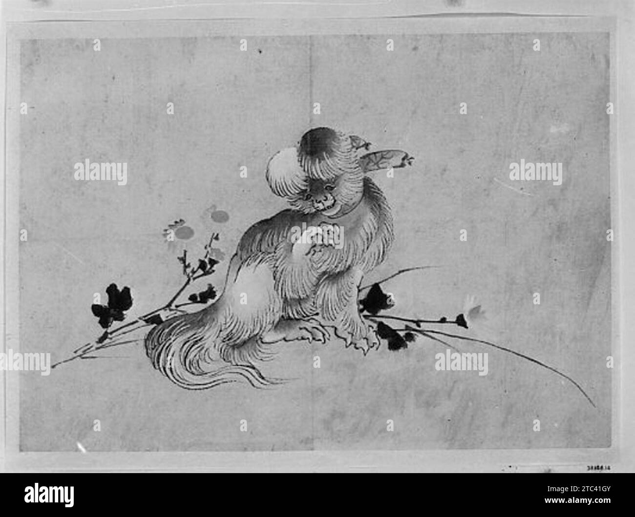 Pekingese 1938 della Hokusai School Foto Stock