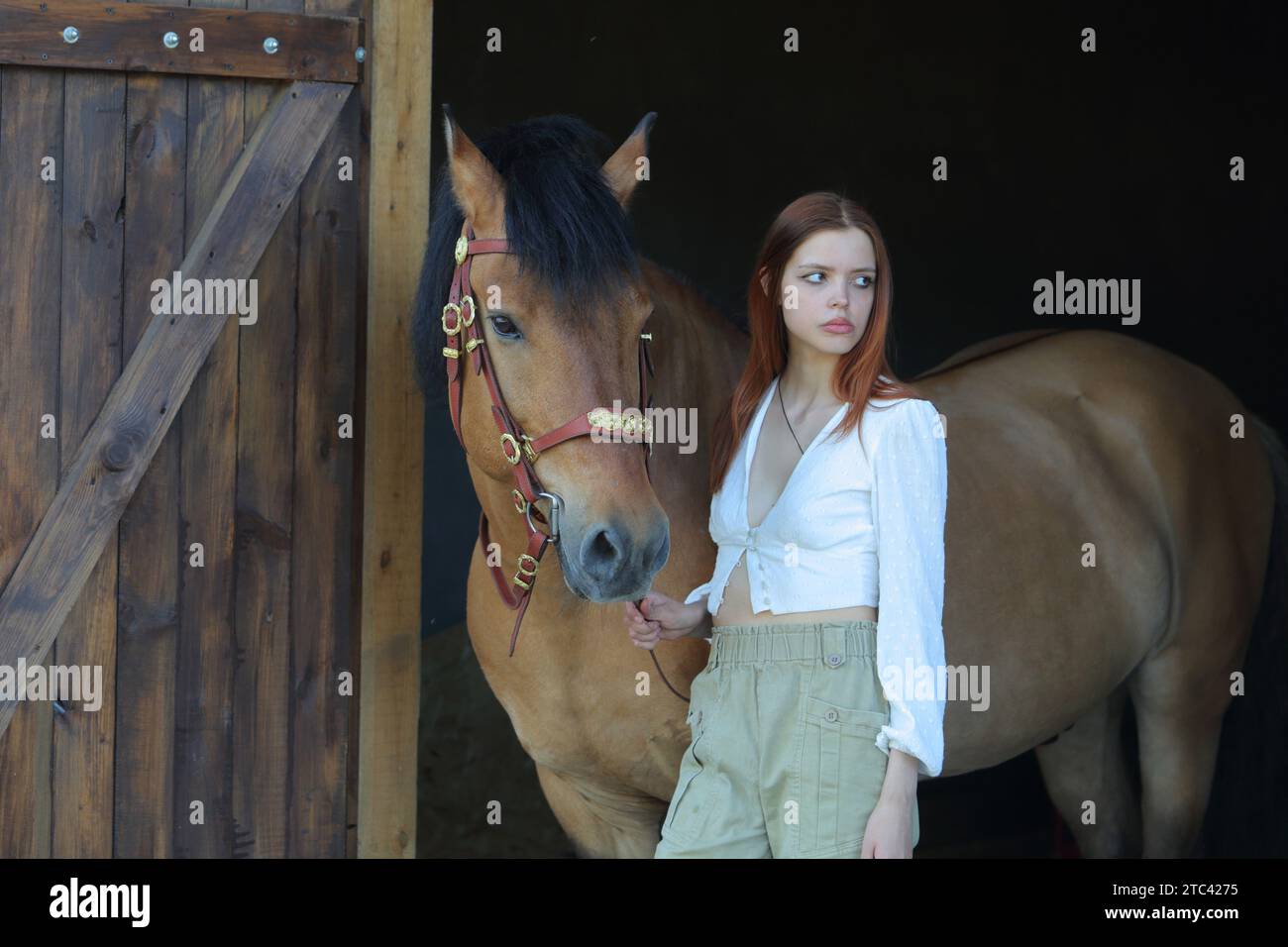 Bella ragazza di campagna in posa con un cavallo nella stalla Foto Stock