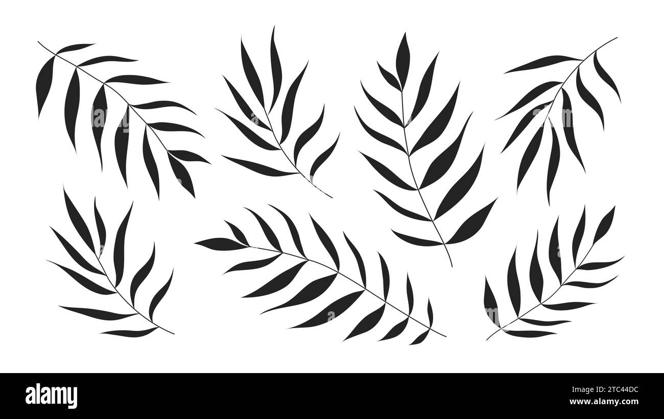 Foglie di palma nera su sfondo bianco. Illustrazione vettoriale della silhouette nera. Illustrazione Vettoriale