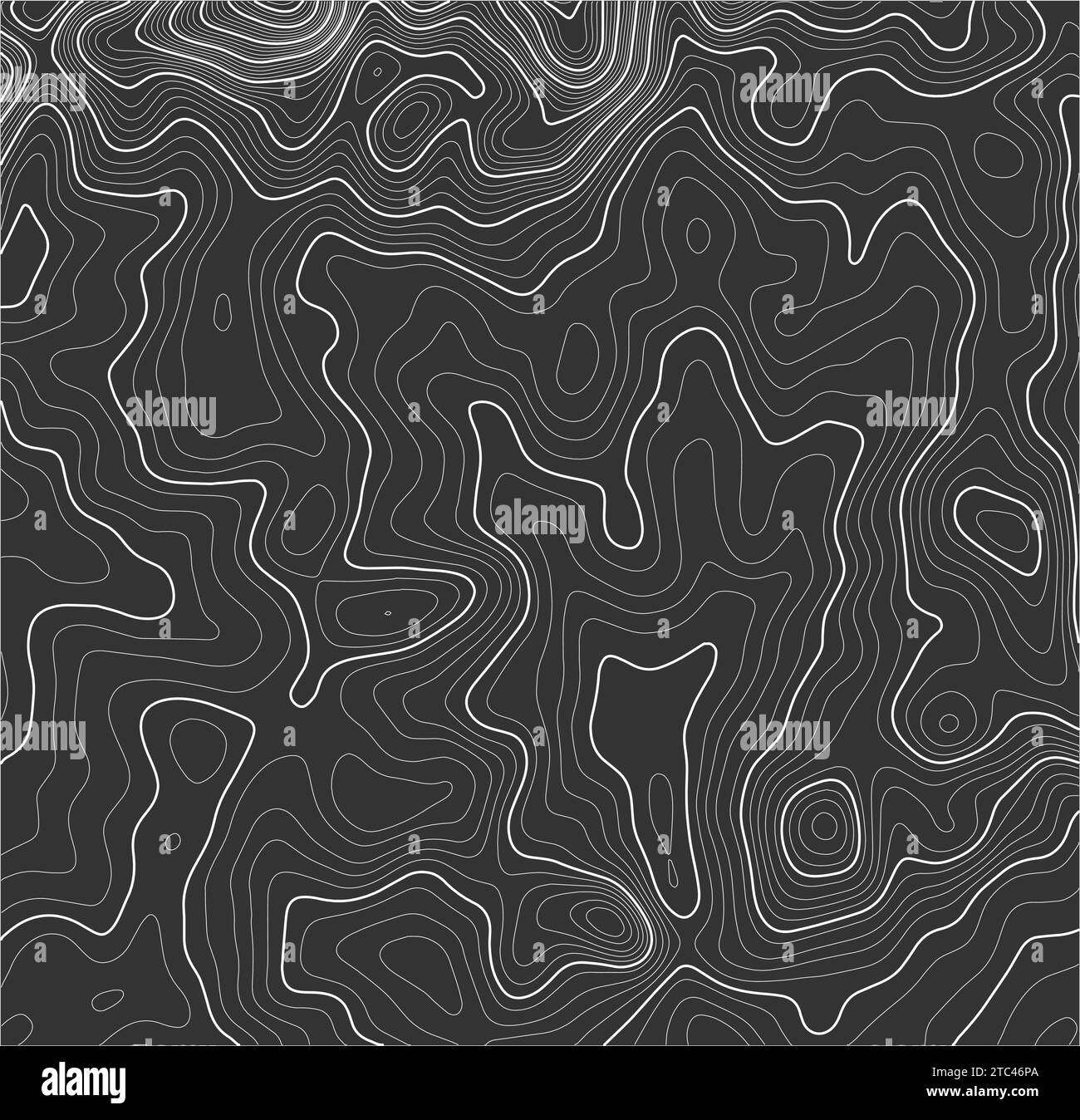 Contorni grigi topografia vettoriale. Mappa geografica del terreno di montagna. Linee di altezza del contorno grafico dell'elevazione. Mappa topografica Illustrazione Vettoriale