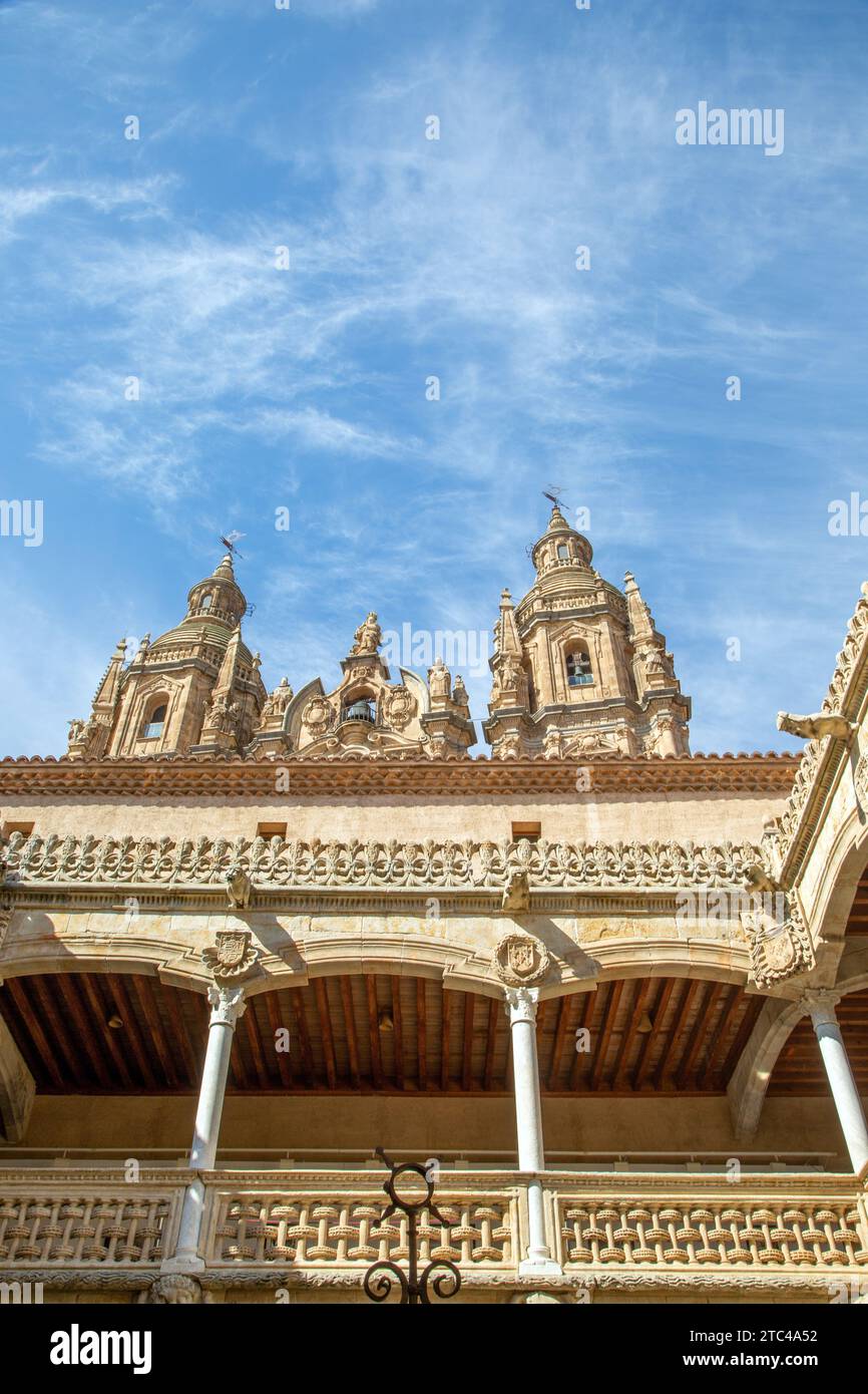 Vista della cattedrale di Salamanca dall'interno della biblioteca pubblica medievale di Salamanca situata nella Casa de las Conchas Foto Stock