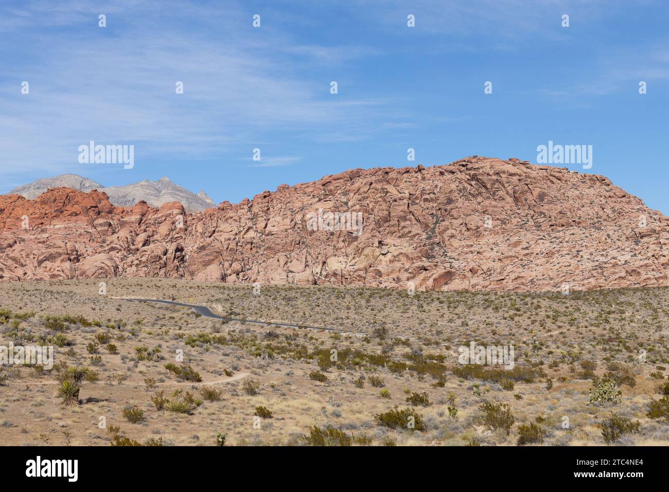 Red Rock Canyon in Nevada in un soleggiato giorno di dicembre. Foto Stock
