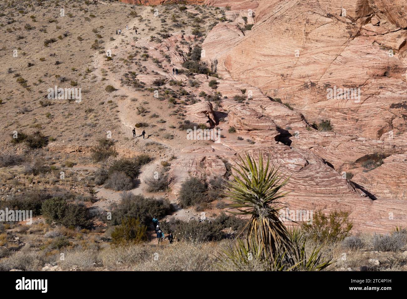 Persone che fanno escursioni nelle Calico Hills al Red Rock Canyon in Nevada. Foto Stock