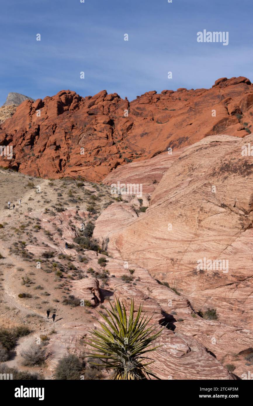 Persone che fanno escursioni nelle Calico Hills al Red Rock Canyon in Nevada. Foto Stock