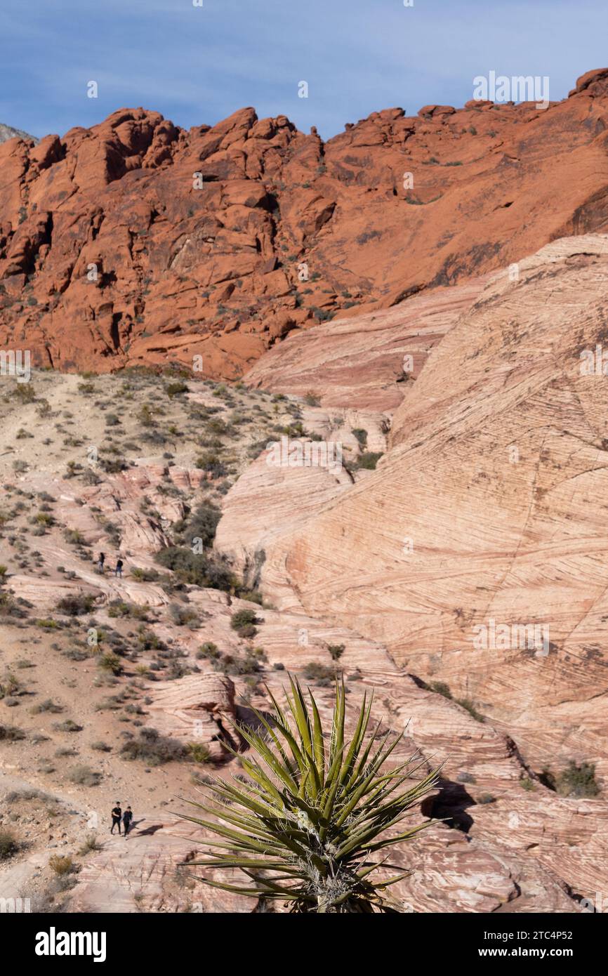 Persone che fanno escursioni nelle Calico Hills al Red Rock Canyon in Nevada. Foto Stock