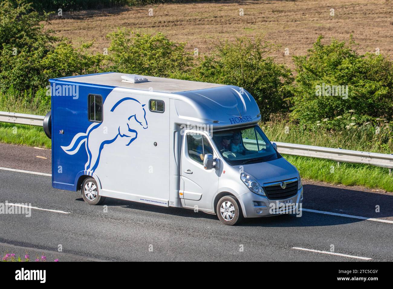 2019 Fiat Ducato Regent 3.5T Longstall cabina-over Horsebox. Trasporto equino in viaggio sull'autostrada M6 a Greater Manchester, Regno Unito Foto Stock