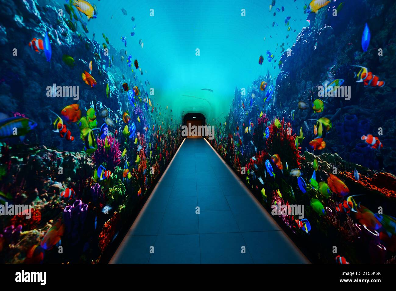 Mostre interattive in The View at the Palm, Palm Jumeirah, Dubai, Emirati Arabi Uniti. Foto Stock