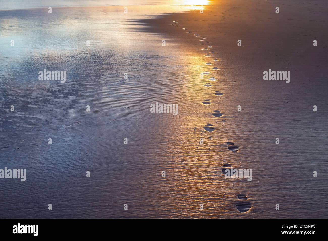 Impronte di piedi nella sabbia lungo la spiaggia est all'alba. Lossiemouth, Morayshire, Scozia Foto Stock