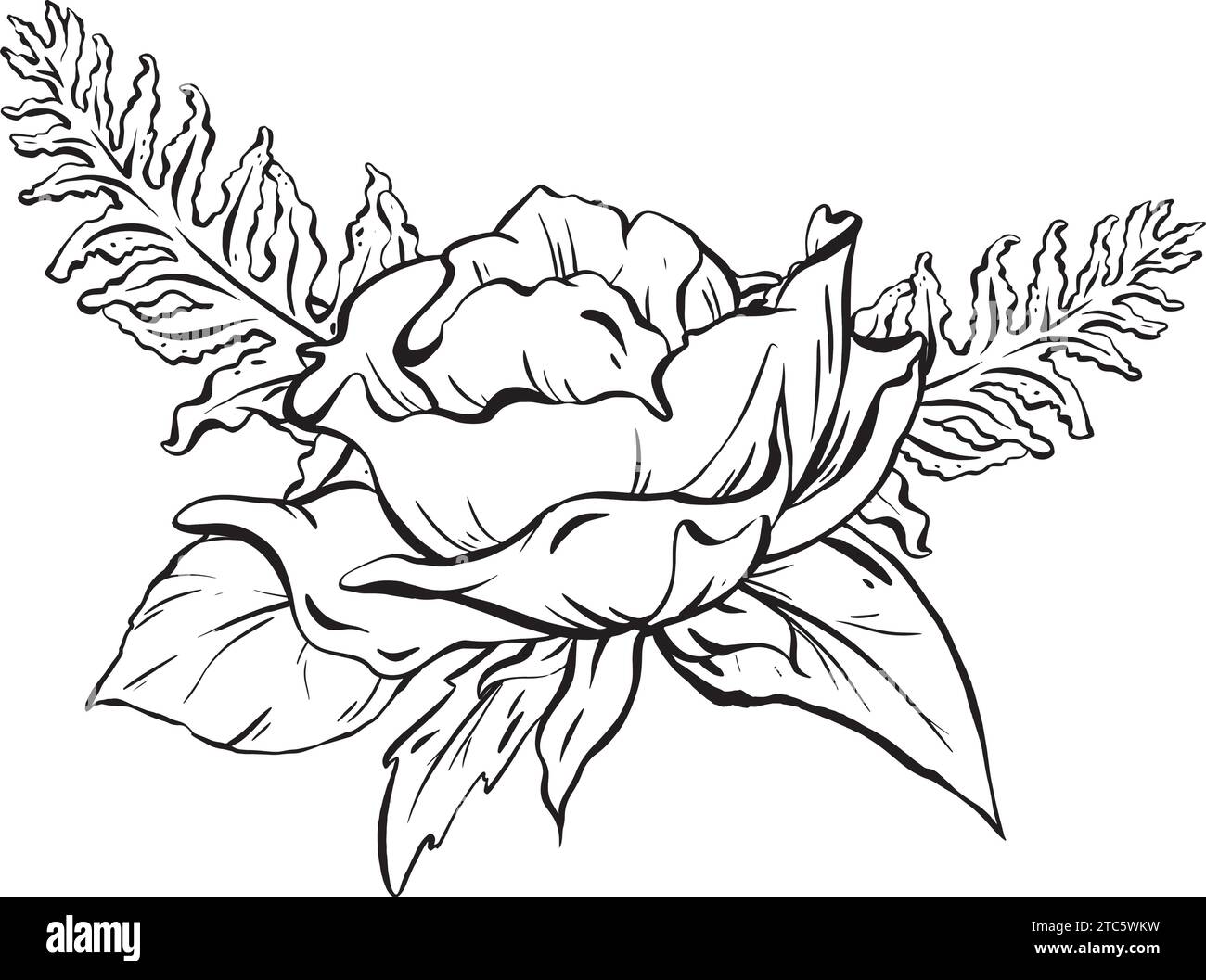 Inchiostro: Composizione floreale con delicati fiori di rosa aperti felce e foglie di rosa. Fogliame decorativo in un semplice stile monocromatico. per le carte Illustrazione Vettoriale