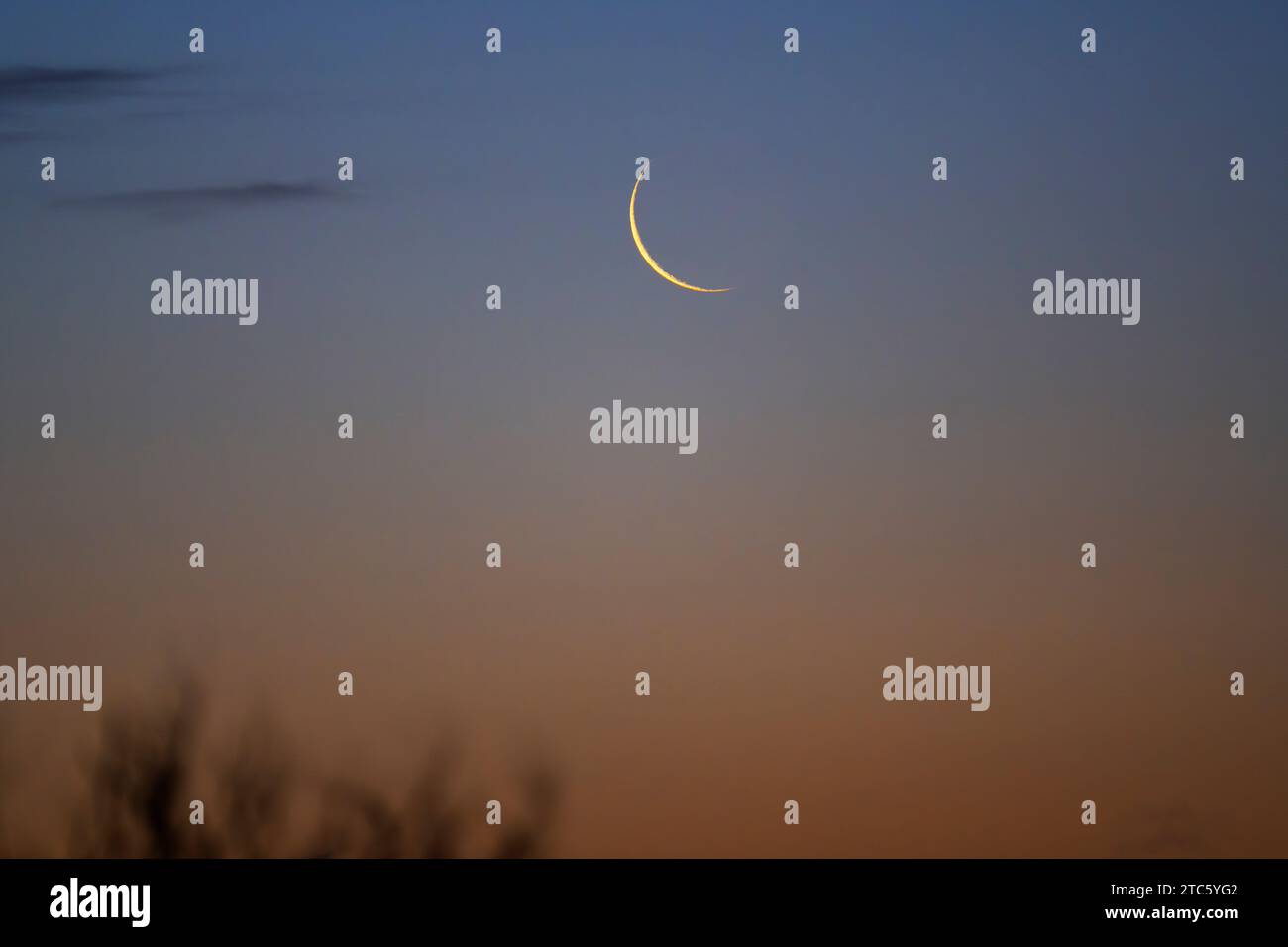 Wimbledon, Londra, Regno Unito. 11 dicembre 2023. Luna a mezzaluna illuminata al 3% che si innalza sul cielo sud-orientale di Londra in una mattinata limpida, un giorno prima della Luna nuova. Crediti: Malcolm Park/Alamy Live News Foto Stock