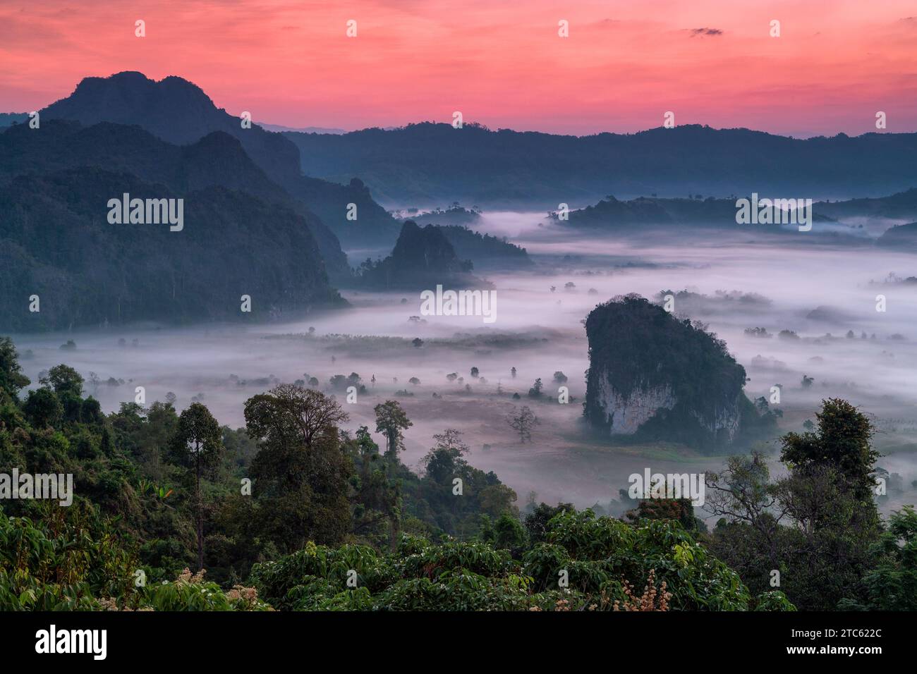 Alba al monte phulangka con myst nel Parco Nazionale di Phu Langka, provincia di Payao, thailandia Foto Stock