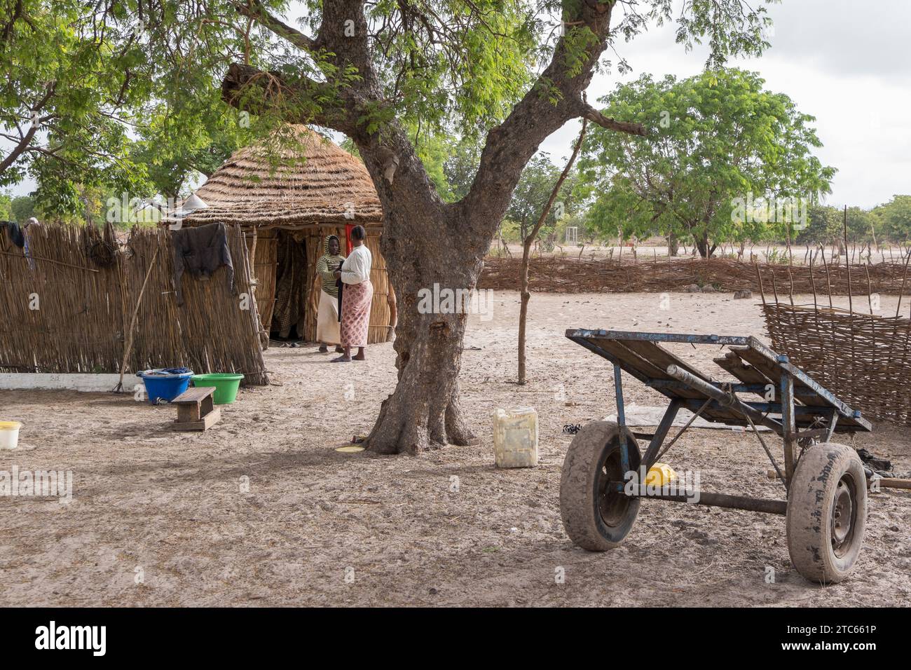 Scena nel villaggio di Sipo nel delta del fiume Sine e Saloum in Senegal Foto Stock