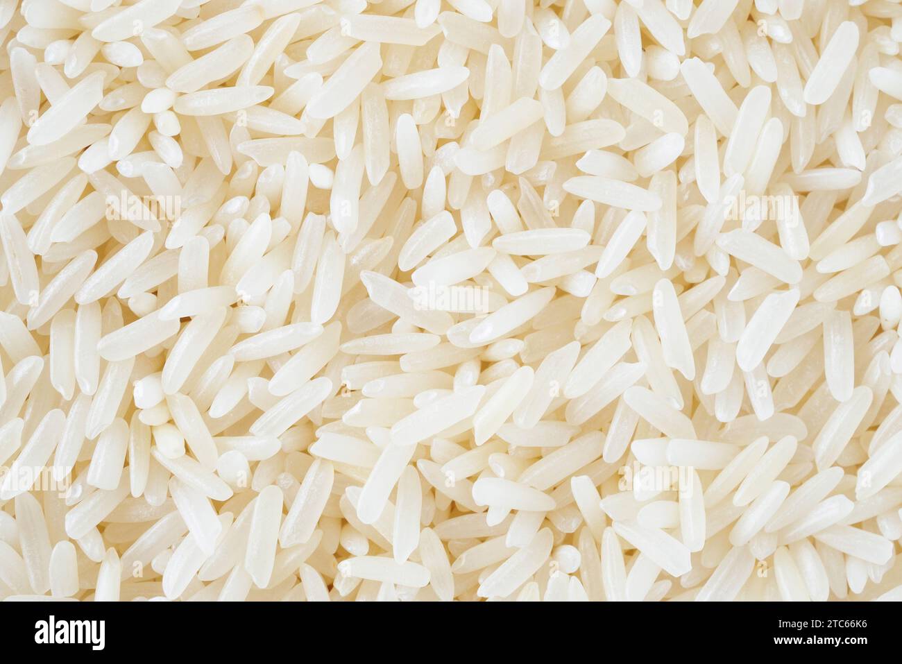 Primo piano sullo sfondo della consistenza dei grani di riso del gelsomino tailandese Foto Stock