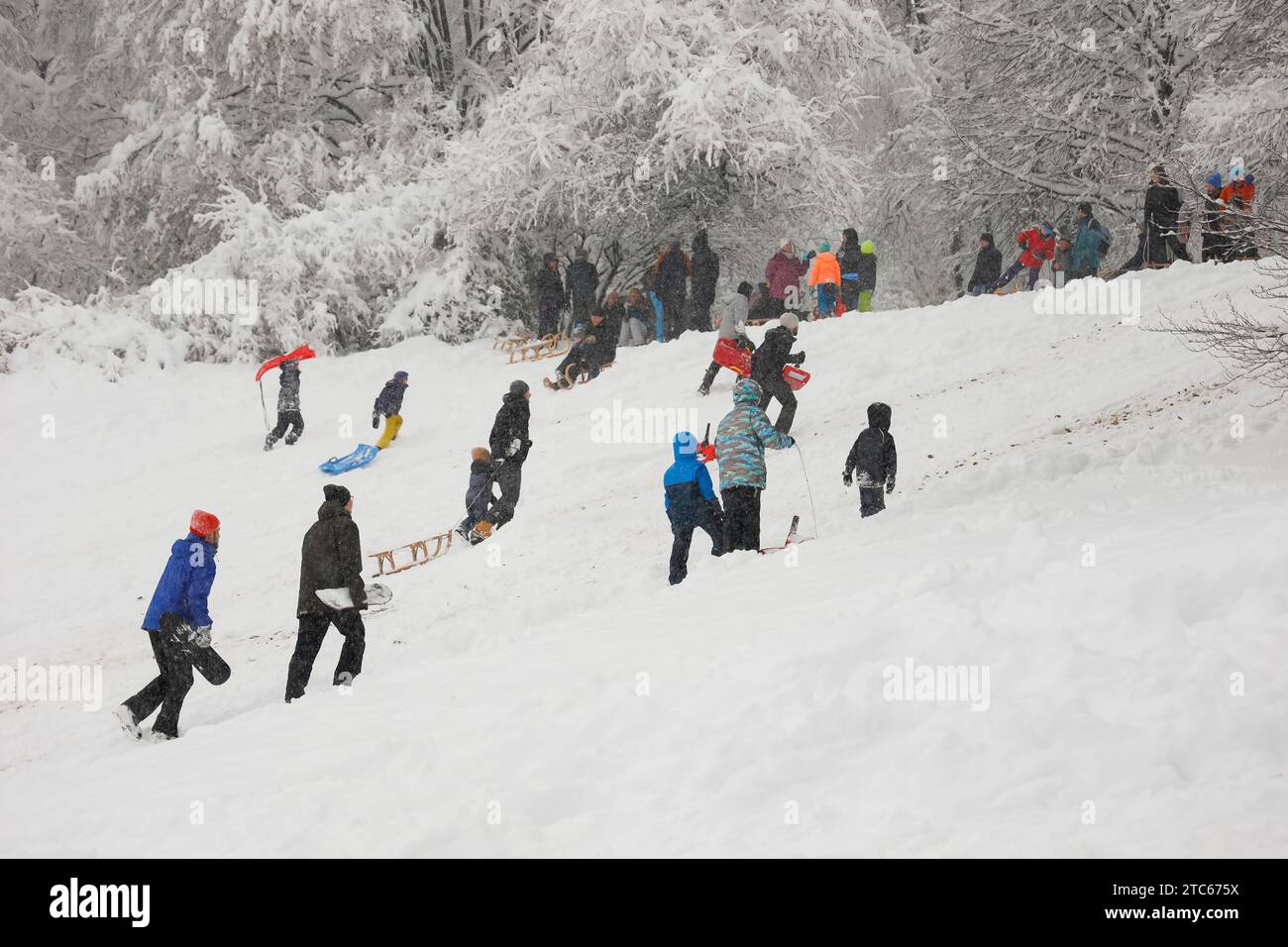 Persone con slitte che salgono su una collina innevata a Monaco, Baviera, Germania. Foto Stock