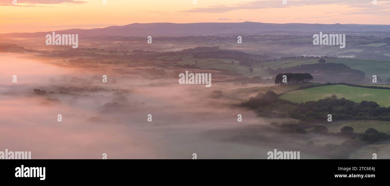 Nebbia dell'alba sul paesaggio estivo vicino a Cookworthy Knapp (Nearly Home Trees), Lifton, Devon, Inghilterra. Estate (luglio) 2023 Foto Stock