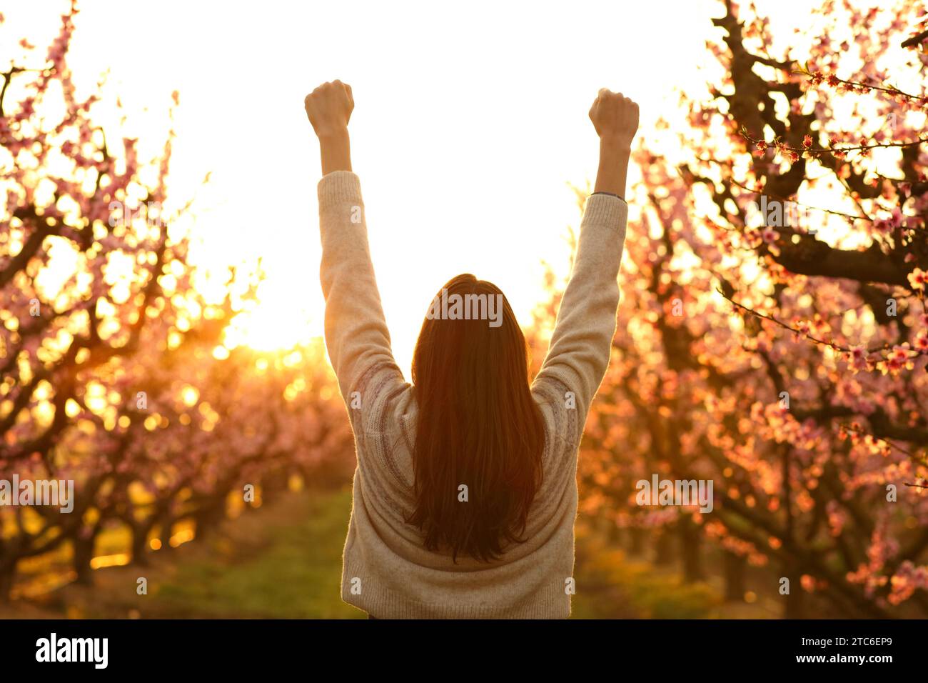 Ritratto retrospettiva di una donna felice che solleva le braccia per celebrare l'alba in un campo Foto Stock