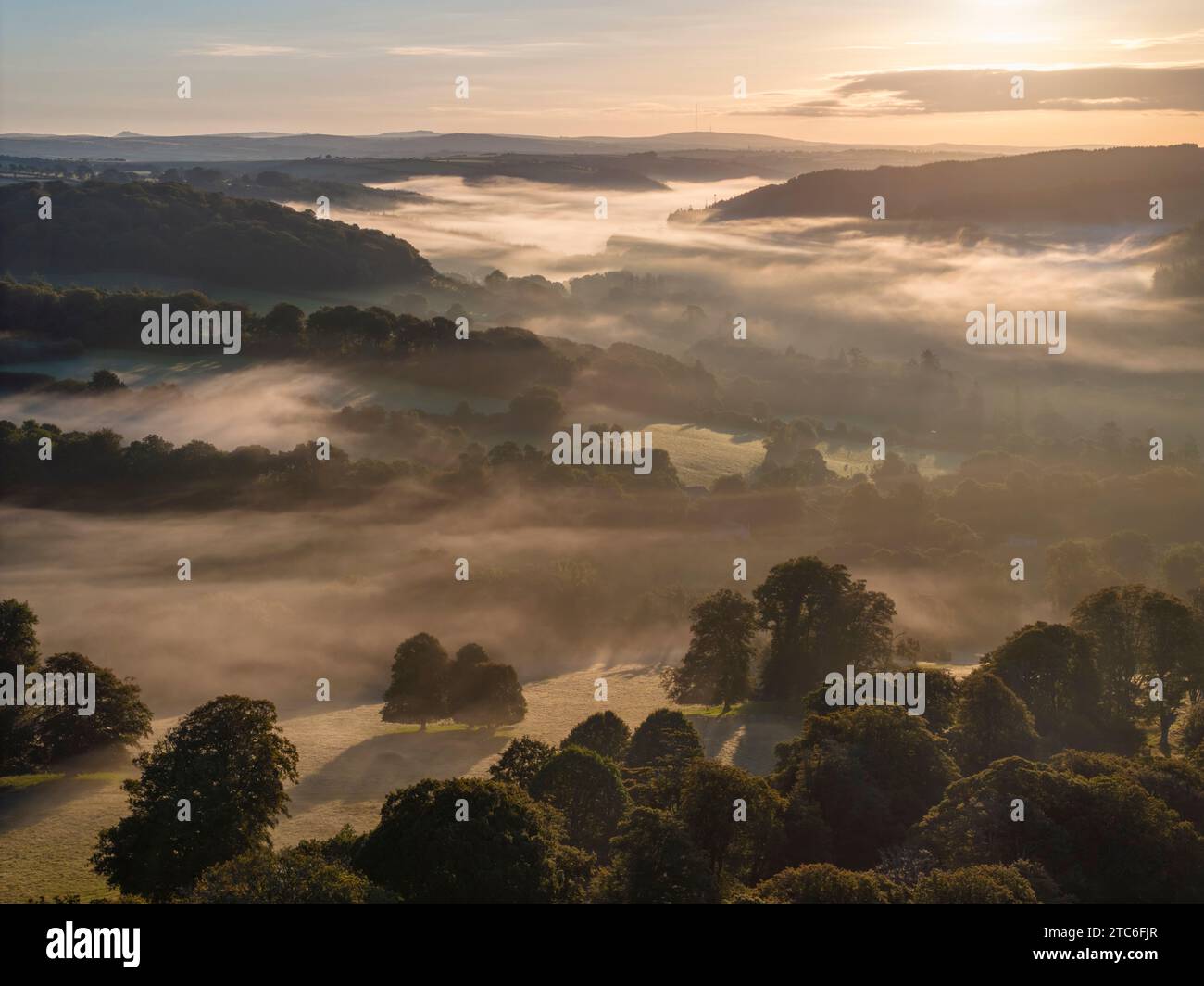 Paesaggio avvolto dalla nebbia all'alba, Lanhydrock, Cornovaglia, Inghilterra. (Agosto) 2023. Foto Stock