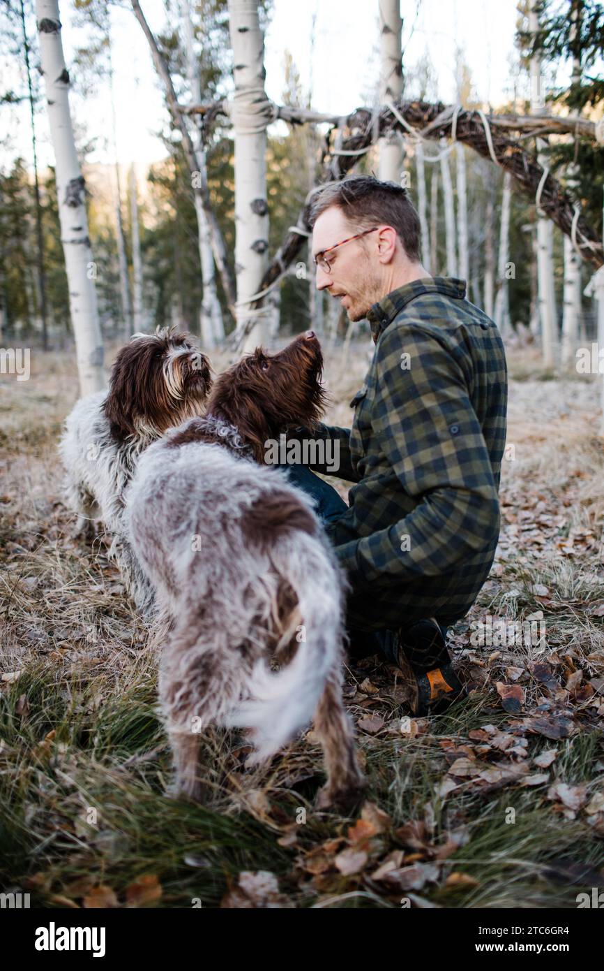 Uomo inginocchiato con due attenti cani Griffon in natura Foto Stock