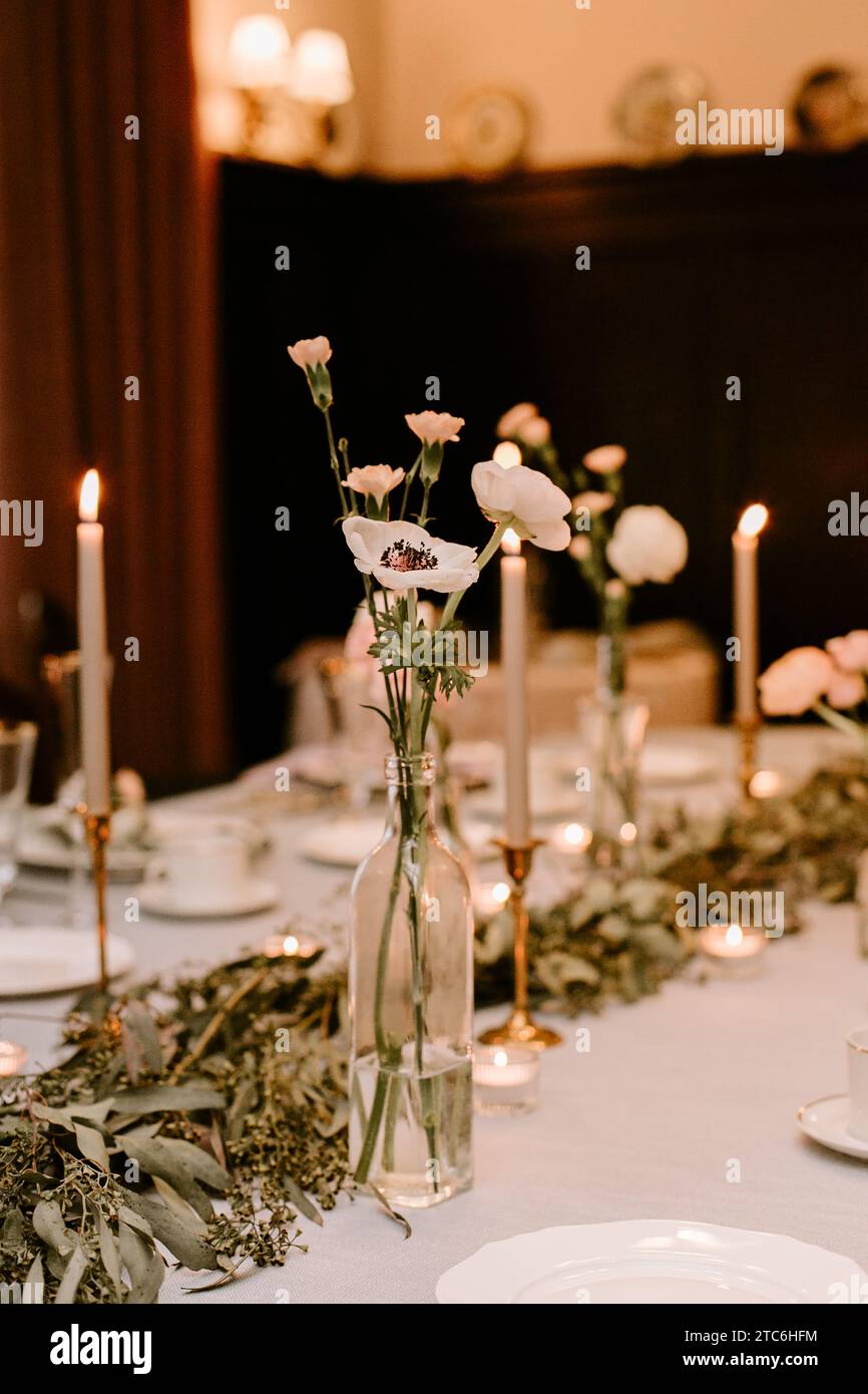 Fiori da tavolo bianchi papavero Foto Stock