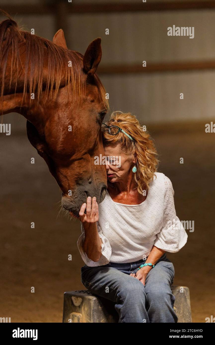 Una signora e un cavallo con la testa che si toccano in un momento tranquillo Foto Stock