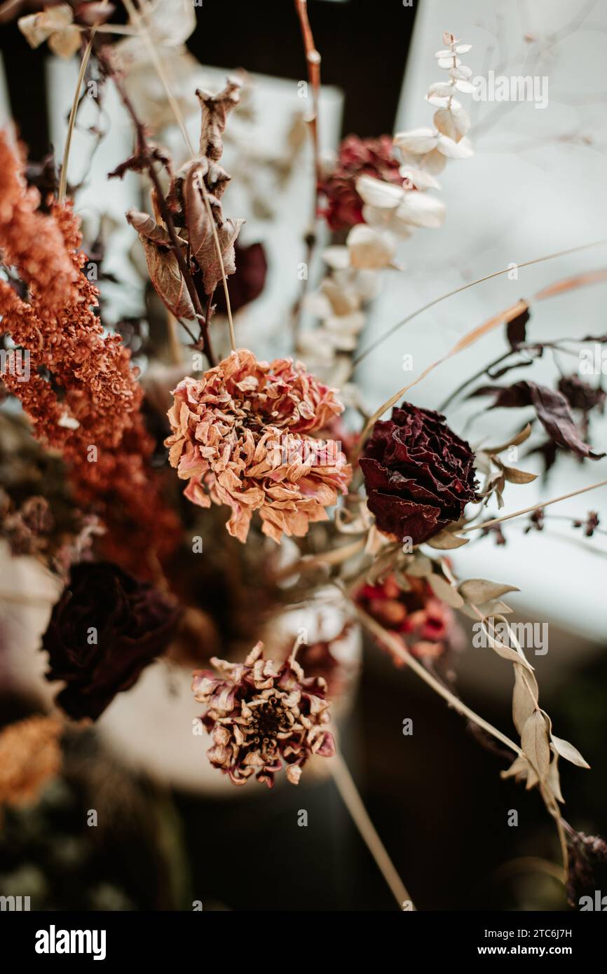Bouquet floreale di rosa polvere secca Foto Stock