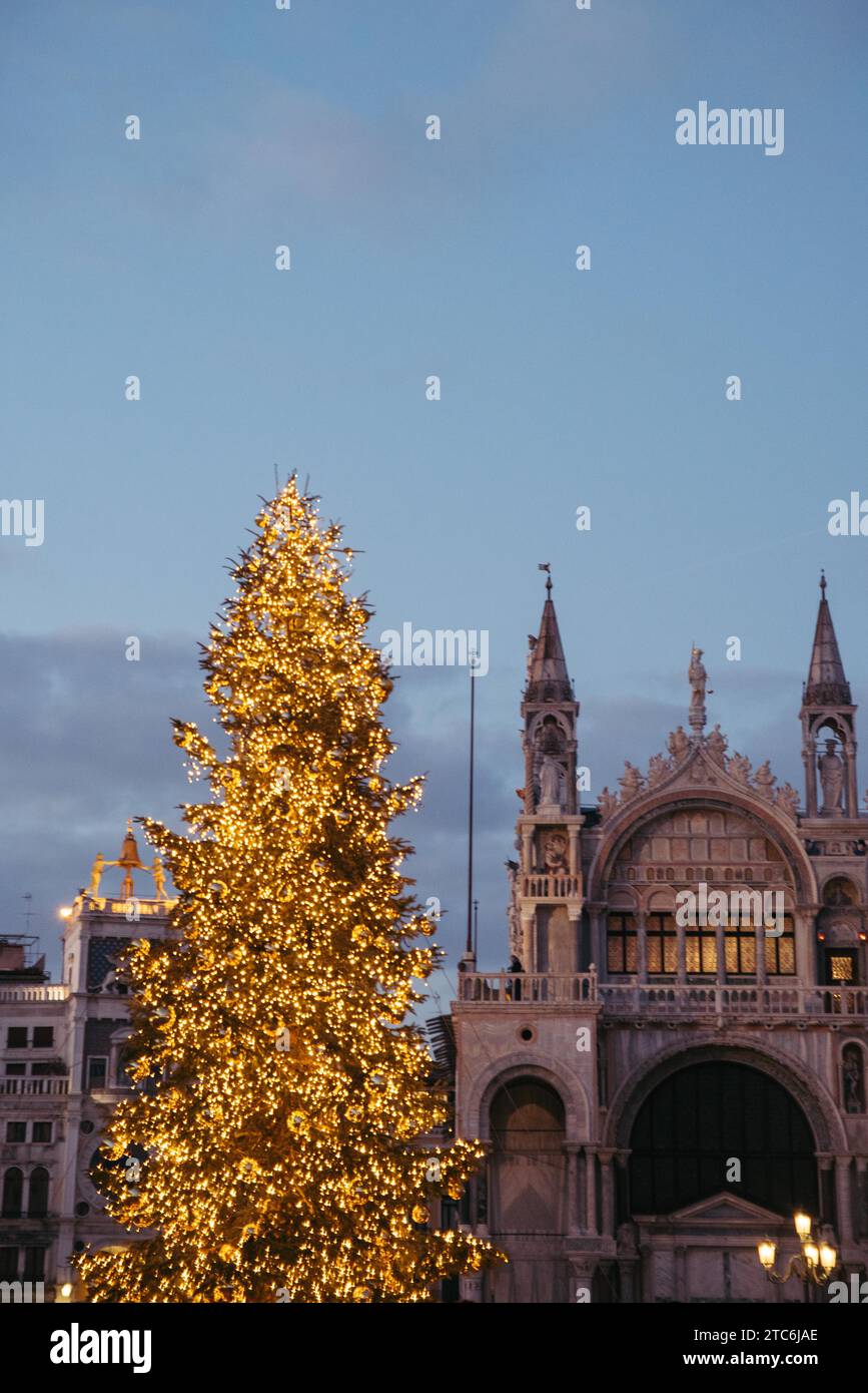 Albero di natale di fronte a una chiesa in Piazza San Marco, Venezia, Italia Foto Stock