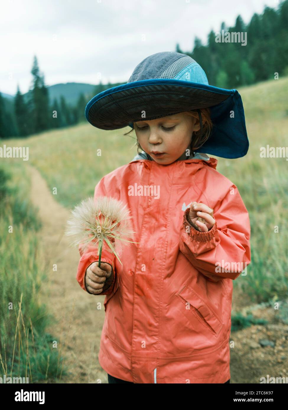 Ragazza con un'erba sulle montagne del Colorado Foto Stock