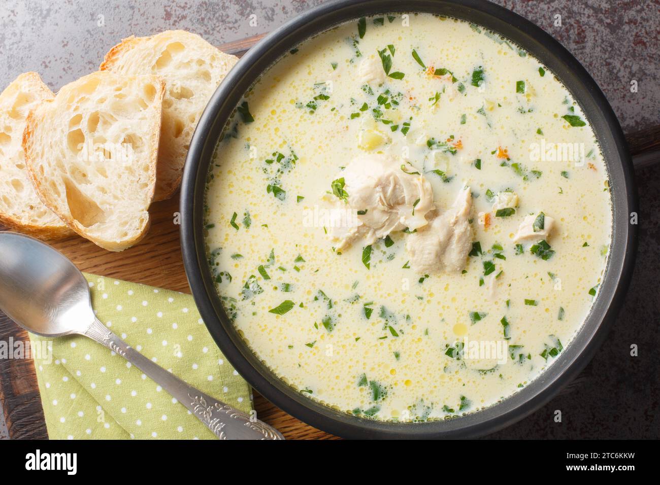 Ciorba Radauteana è una zuppa tradizionale rumena a base di pollo, cipolle, peperoncino rosso dolce, sedano, carote, aglio, prezzemolo e panna acida chiudono Foto Stock