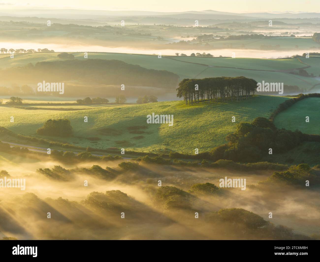 Misty Morning a Cookworthy Knapp (The Nearly Home Trees) vicino a Lifton nel Devon, Inghilterra. Autunno (settembre) 2023. Foto Stock
