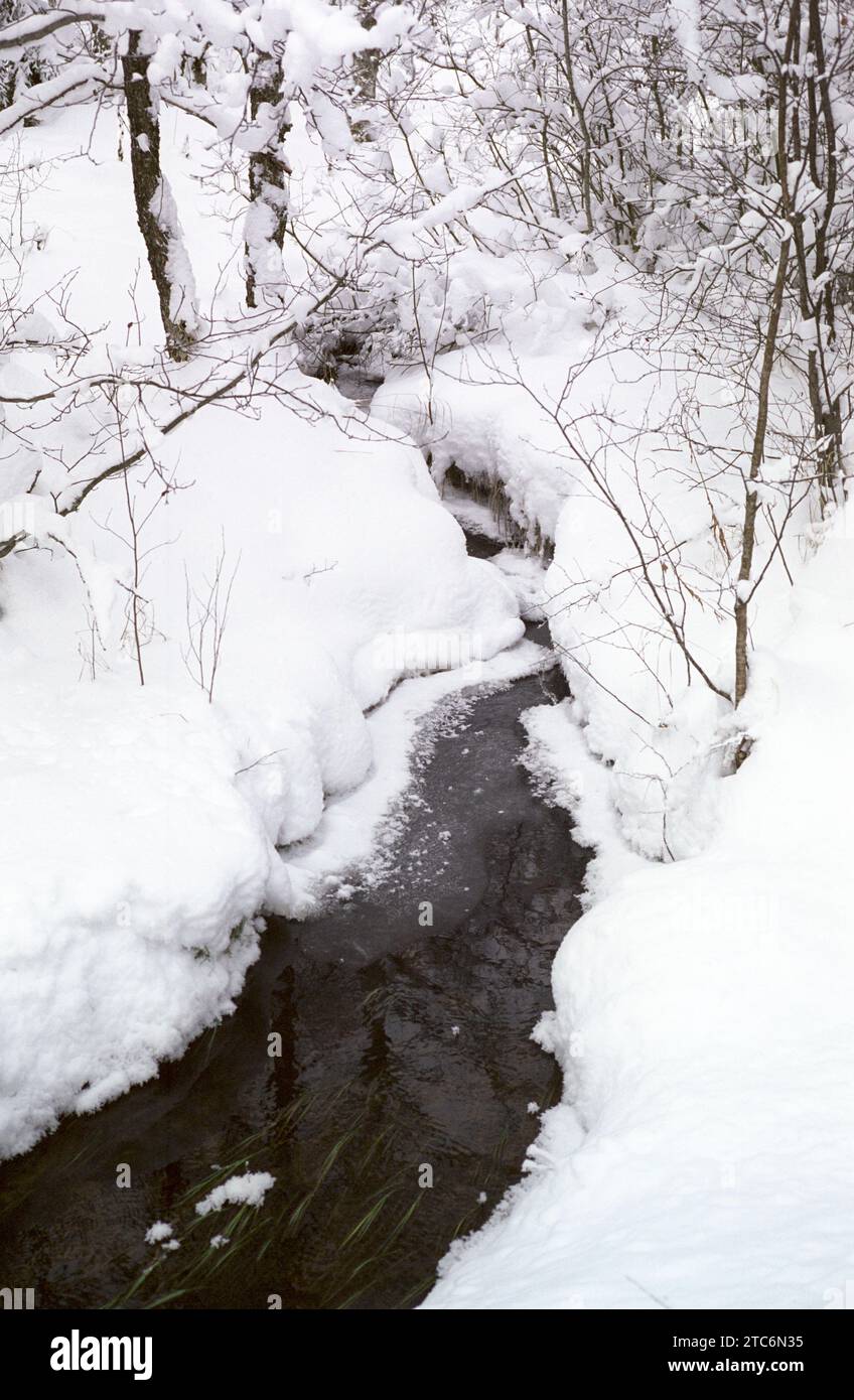 Creek in inverno Foto Stock