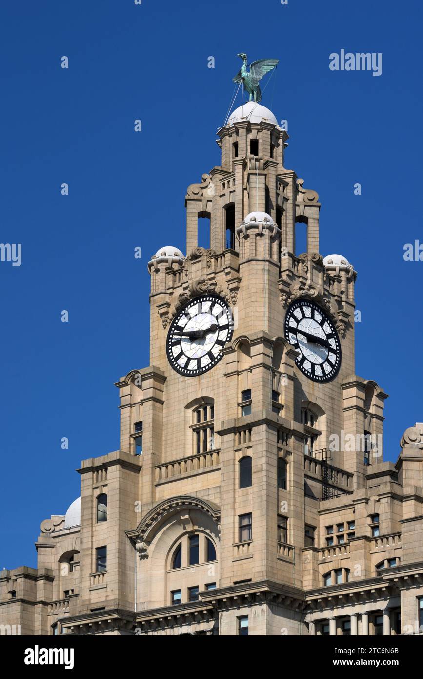 Corner Clock Tower & Liver Bird of the Royal Liver Building (1908-1911) di Walter Aubrey Thomas, sul Pier Head o Waterfront Liverpool Inghilterra Regno Unito Foto Stock