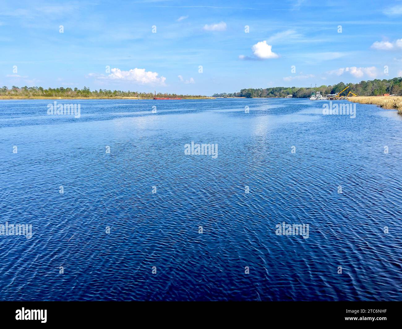 Il fiume Satilla in una splendida giornata di sole vicino Woodbine, Georgia, negli Stati Uniti. Foto Stock