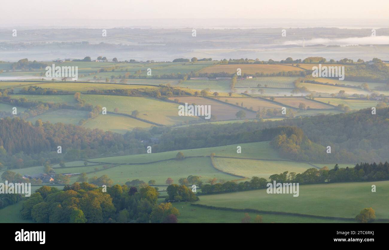 Campagna ondulata all'alba, Devon, Inghilterra. Primavera (maggio) 2023 Foto Stock