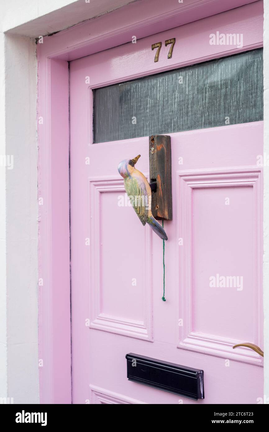 Woodpecker porta bussare a una porta rosa. Scozia Foto Stock