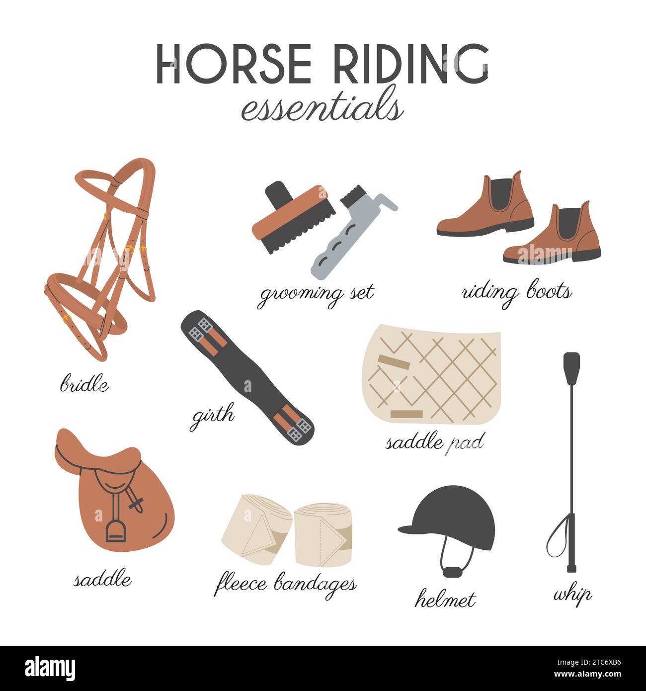 Cartolina quadrata alla moda per l'equitazione. Scheda didattica infografica vettoriale attrezzature equestri. Icone Tack and Gear in stile moderno e alla moda. Equi Illustrazione Vettoriale