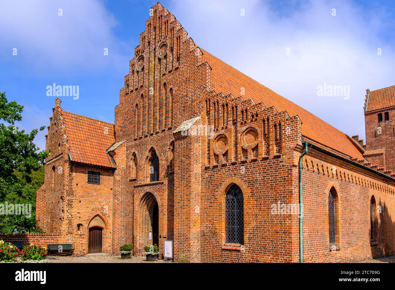 Klosterkirche St Petri, ehemaliges Franziskanerkloster Ystad, Schonen, Skane län, Schweden. Foto Stock