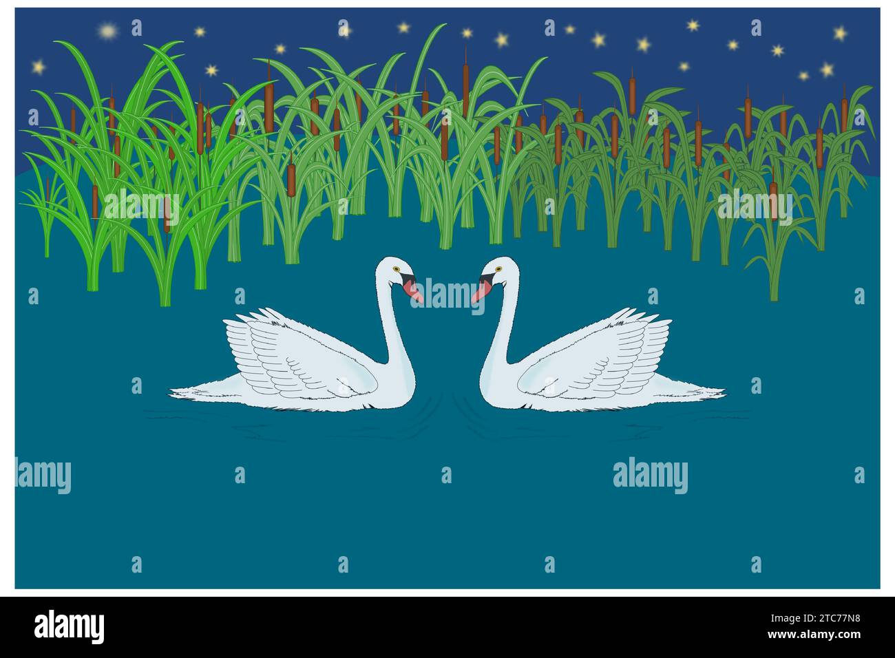 Due cigni sul lago sullo sfondo cattail e le stelle nel cielo Illustrazione Vettoriale