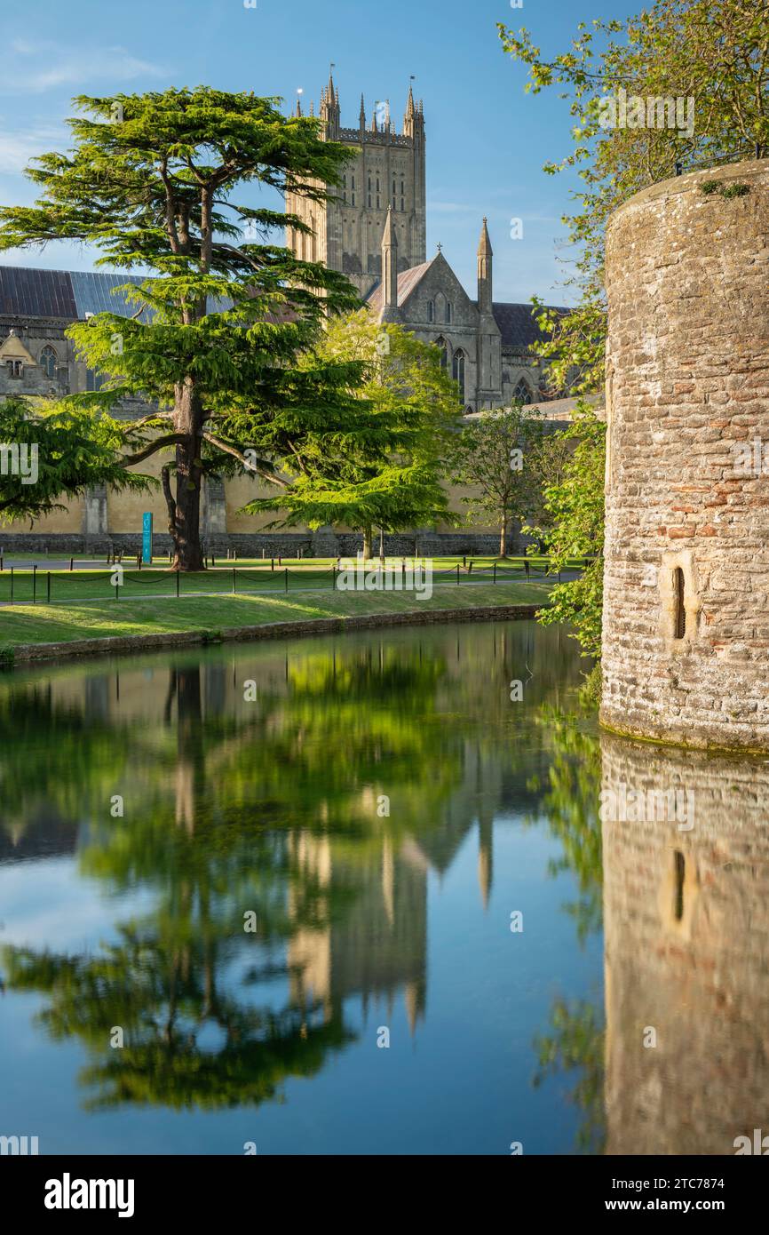 La cattedrale di Wells si riflette nel fossato del Palazzo vescovile, Wells, Somerset, Inghilterra. Primavera (maggio) 2019. Foto Stock