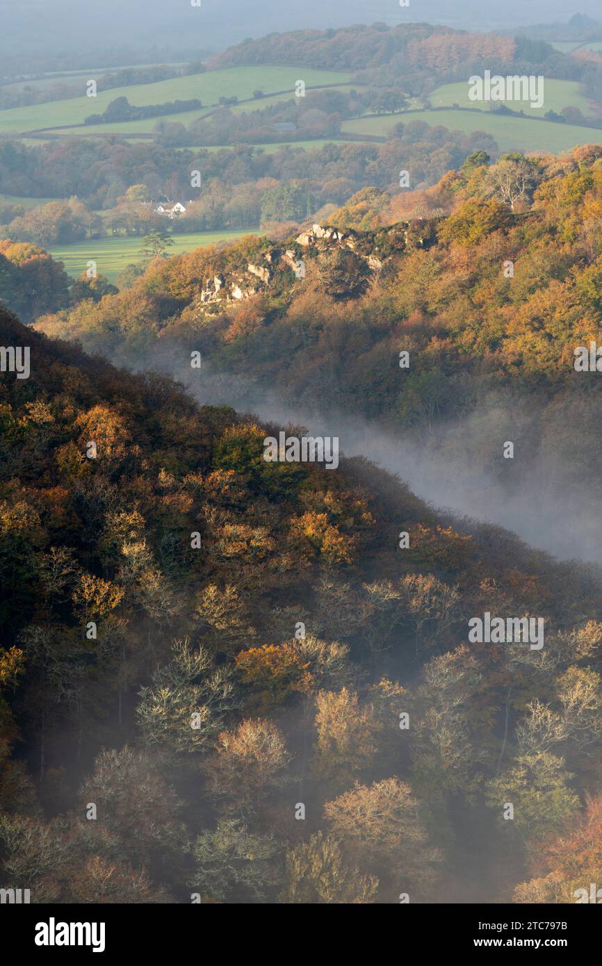 Nebbia autunnali nella Teign Valley sopra Fingle Bridge, Dartmoor, Devon, Inghilterra. Autunno (novembre) 2020. Foto Stock