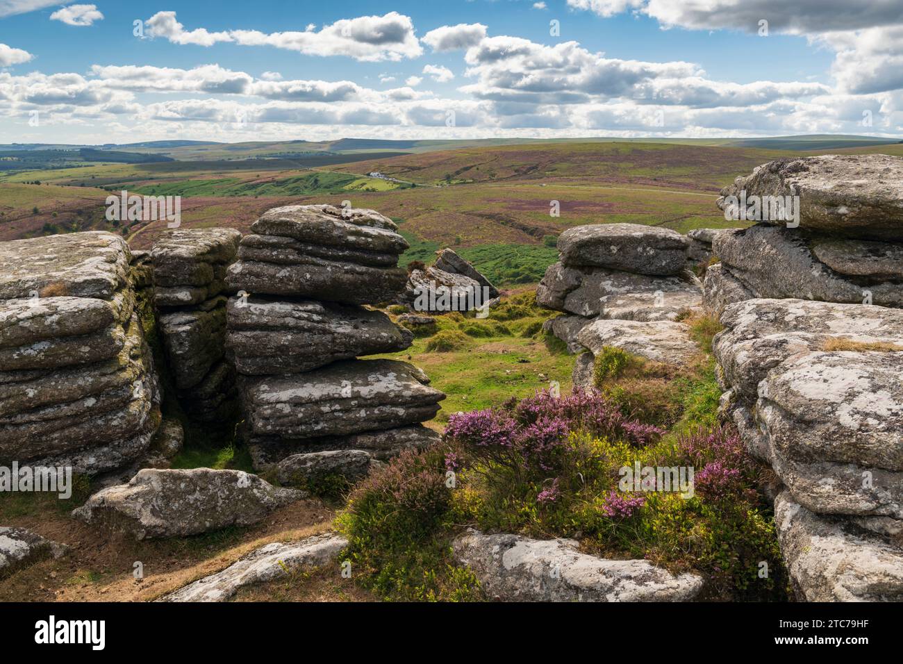 Birch Tor in un soleggiato pomeriggio estivo, Dartmoor National Park, Devon, Inghilterra. Estate (agosto) 2022. Foto Stock