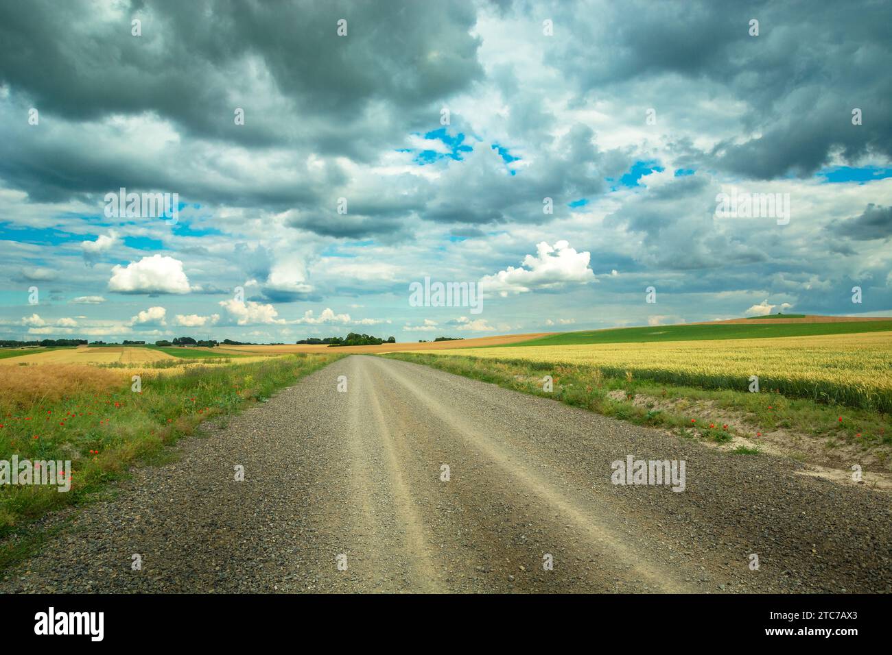 Nuvole grigie su una strada di ghiaia nei campi rurali, il giorno di luglio Foto Stock